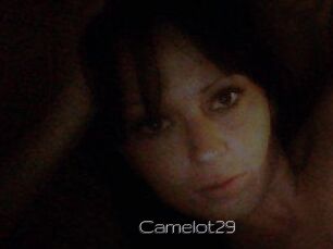 Camelot29