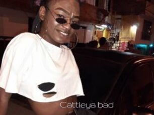 Cattleya_bad