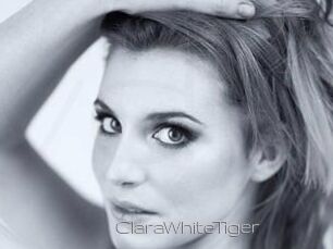 ClaraWhiteTiger