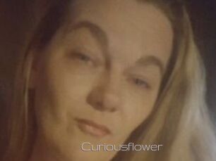 Curiousflower