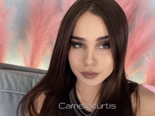 Cameliacurtis