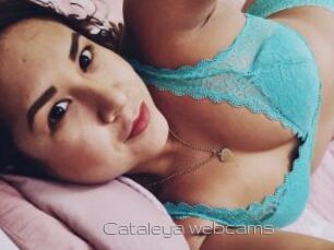 Cataleya_webcams