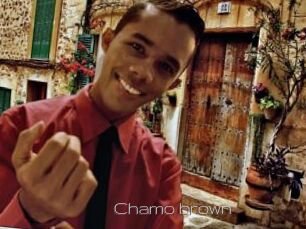 Chamo_brown