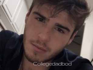 Collegedadbod