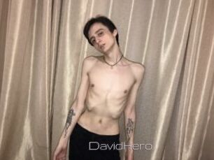 DavidHero