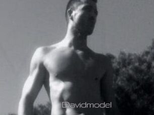 Davidmodel