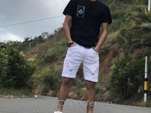 Dannyfermin