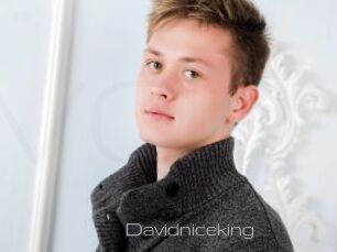 Davidniceking