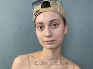 Dominodryer