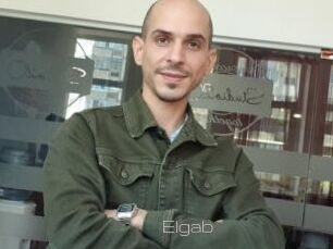 Elgab