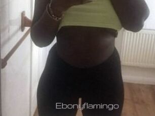 Ebony_flamingo