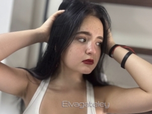 Elvagateley