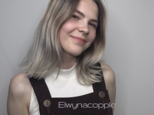 Elwynacopple