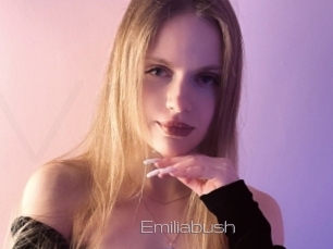 Emiliabush