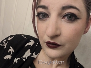 Evvykitten