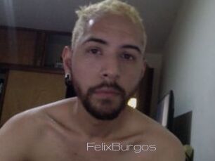 FelixBurgos