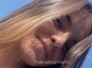 Falineburnard