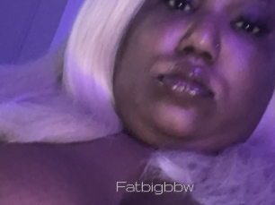 Fatbigbbw