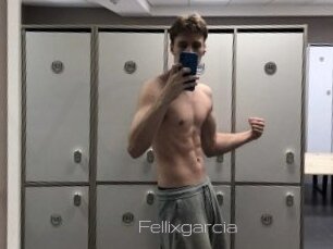 Fellixgarcia
