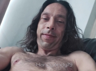HandyAndy79