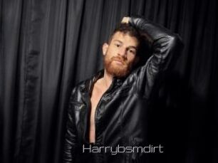 Harrybsmdirt