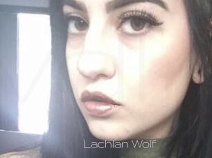 Lachlan_Wolf