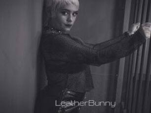 LeatherBunny