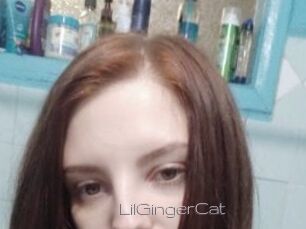 LilGingerCat