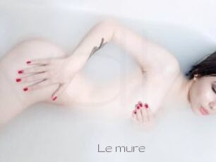 Le_mure