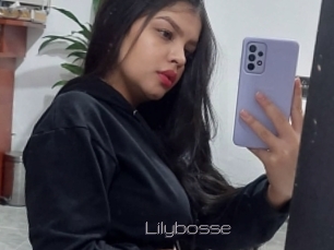 Lilybosse