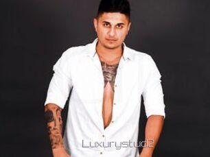 Luxurystud2