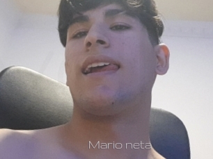 Mario_neta