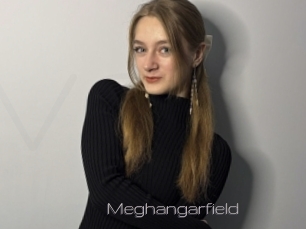 Meghangarfield