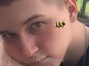 NoahSweet