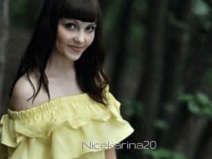 Nicekarina20