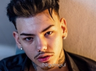 Nigelsoul