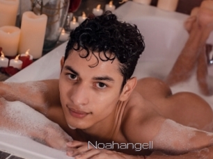 Noahangell