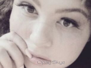 Opay_Skye