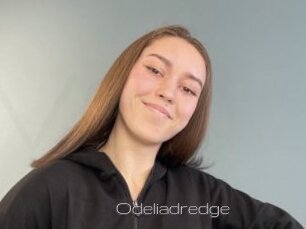 Odeliadredge