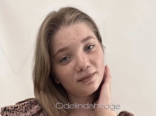 Odelindahedge