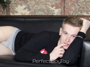 PerfectBoyToy