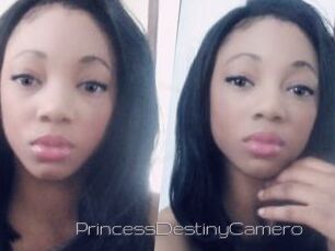 PrincessDestinyCamero