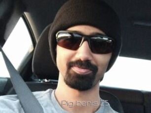 Pig_benis_25