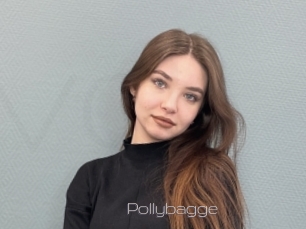 Pollybagge