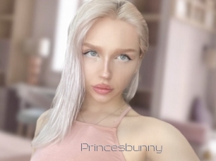 Princesbunny