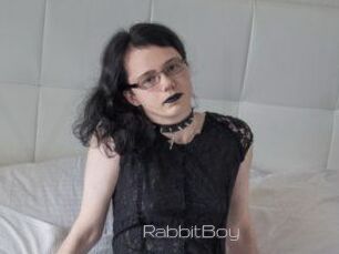 RabbitBoy