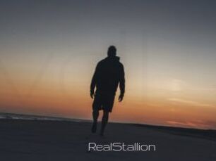 RealStallion