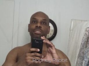 Rodney_Rabbit