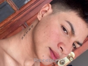 Rabbitlatino111