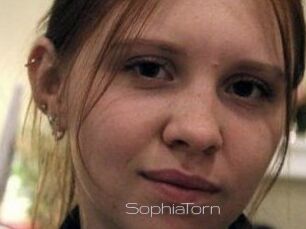 SophiaTorn